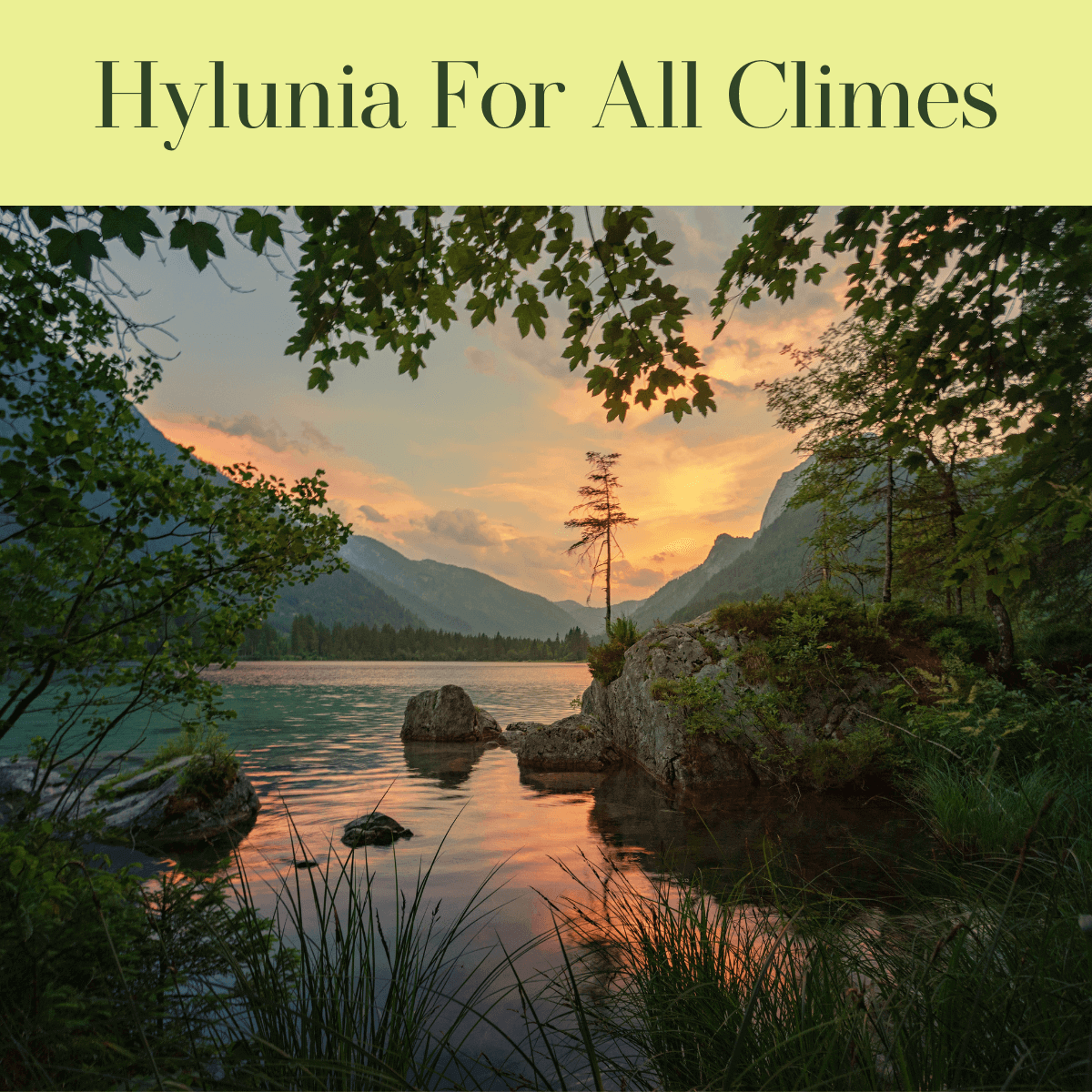 Hylunia For Every Type of Climate