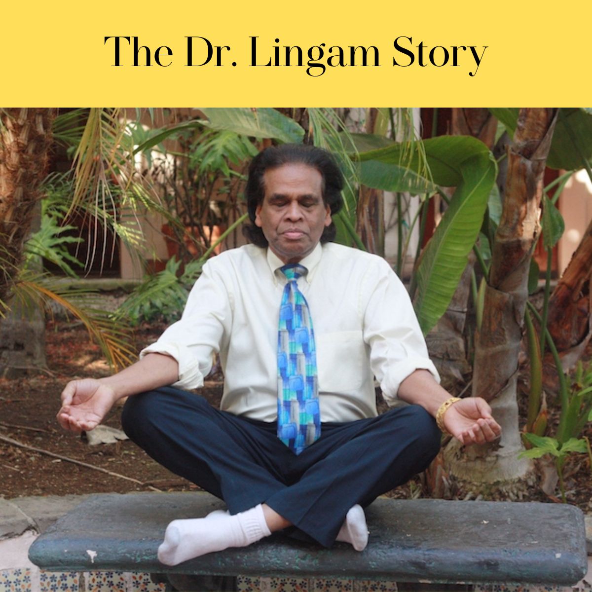 Dr. Lingam meditating in nature, embodying his philosophy as Dr. Lingam The Visionary of Science and Soul.